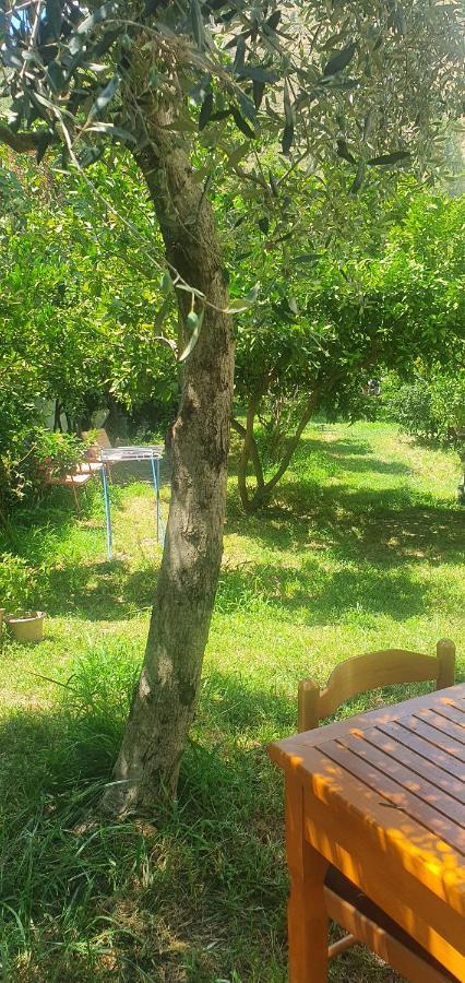 Xho'S Forest Guest House เบราท ภายนอก รูปภาพ