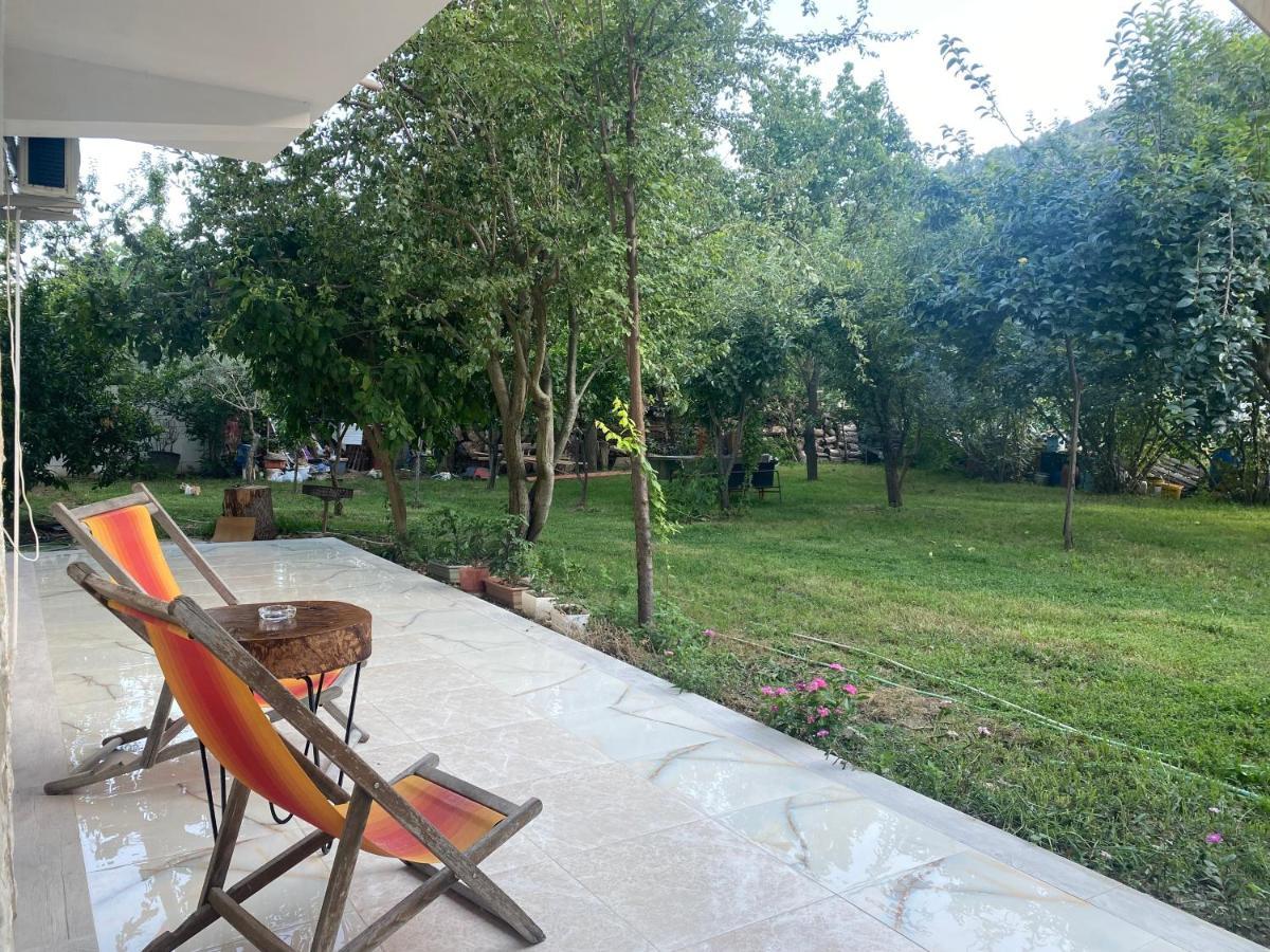 Xho'S Forest Guest House เบราท ภายนอก รูปภาพ
