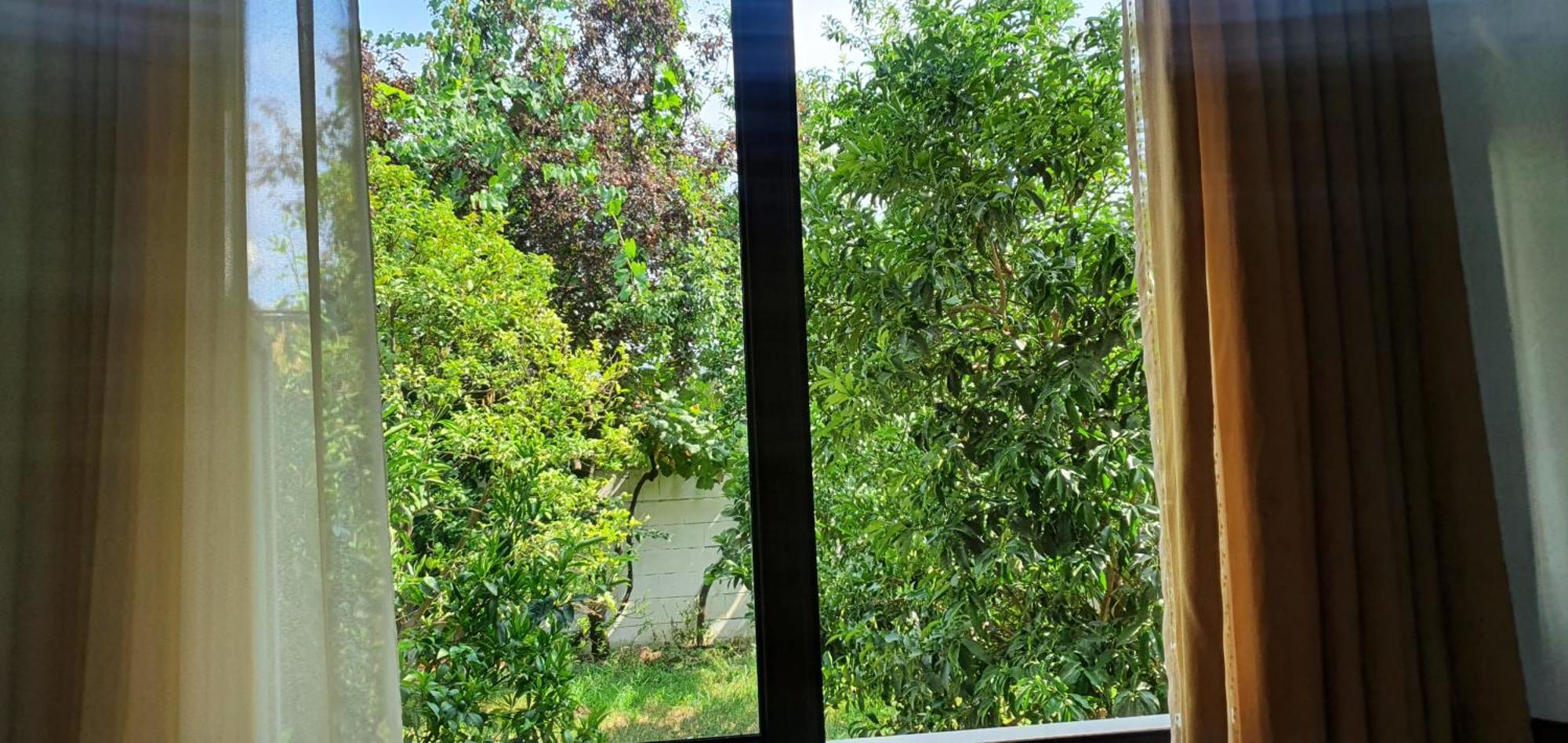 Xho'S Forest Guest House เบราท ห้อง รูปภาพ
